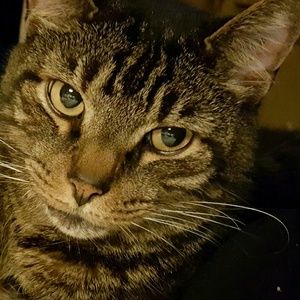 Meet your Posher, Sharon